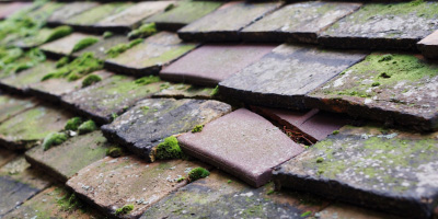 Balsham roof repair costs